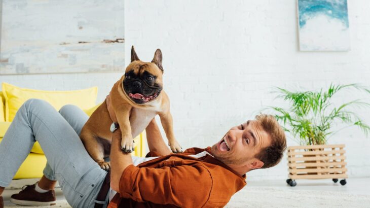 犬を『可愛がりすぎる』と起こるデメリット4選　過剰なふれあいによるリスクや適切な距離感とは？(ブログ)