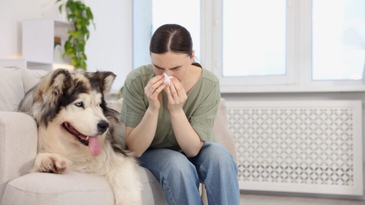 『抜け毛が多い犬』と暮らすときの注意点3つ　習慣にしたいケア方法や掃除のコツ(ブログ)