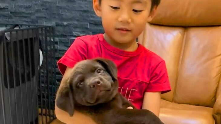 子犬を抱っこできないほど小さかった男の子→一緒に育ち、11歳の誕生日を迎えた結果…尊すぎる『成長記録』に絶賛「最高の相棒」「素敵な兄弟」(ブログ)