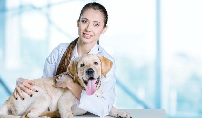 愛犬を連れて動物病院に行こう！病院のマナー、気を付けていますか？チェックポイントを現役獣医が解説(ブログ)