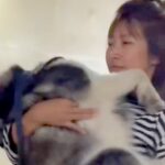 朝、大型犬とお散歩→家から『たった徒歩３分の場所』で…思っていたのと違う『まさかの行動』に反響「大きい赤ちゃんｗ」「甘えん坊さん」(ブログ)