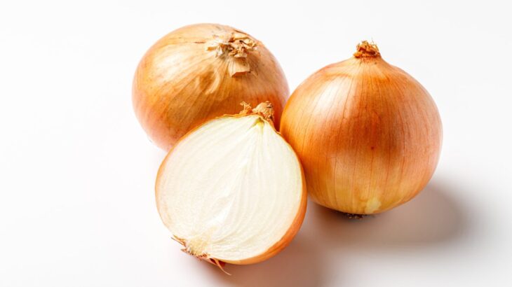 犬が食べると死ぬ可能性のある『食品』５選　誤食した場合の危険な症状や早急にすべき対処法まで(ブログ)