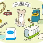 100均で備える『愛犬用の防災グッズ』6選　災害時に役立つ使い方や準備のコツをご紹介(ブログ)