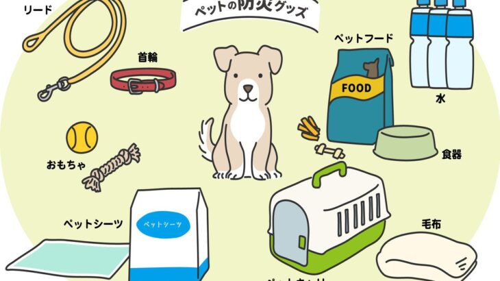 100均で備える『愛犬用の防災グッズ』6選　災害時に役立つ使い方や準備のコツをご紹介(ブログ)