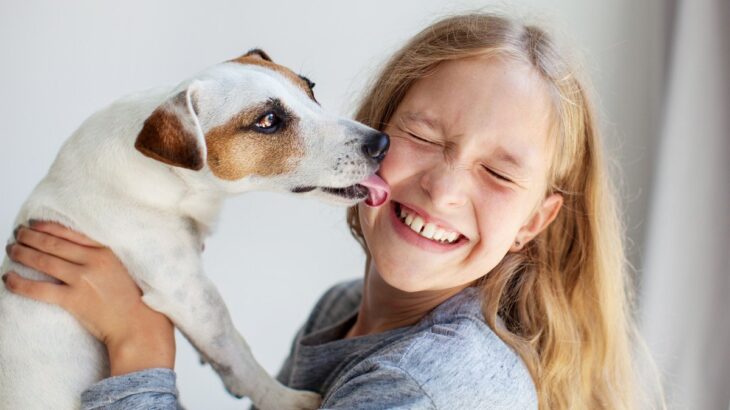 犬が『ペロペロ舐める』理由4選　行動の意味や舐めさせ続けることで起こり得る悪影響とは？(ブログ)