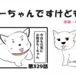 ちーちゃんですけどもっ【第329話】「神話みたいなちーちゃん」(ブログ)