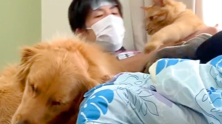 風邪をひいて寝込む男性→『犬と猫に癒してもらおう』と思ったら…あまりにも『違いすぎる対応』が8万再生「2匹とも可愛すぎる」「笑ったｗ」(ブログ)