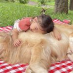 久しぶりにピクニックへ行った結果→相思相愛な『女の子と犬2匹』が…あまりにも尊い『幸せな光景』が28万再生「宝物みたいな時間」と絶賛(ブログ)