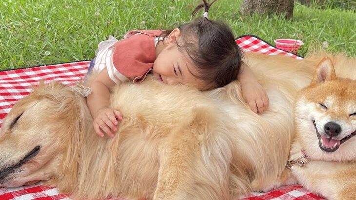 久しぶりにピクニックへ行った結果→相思相愛な『女の子と犬2匹』が…あまりにも尊い『幸せな光景』が28万再生「宝物みたいな時間」と絶賛(ブログ)