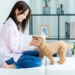 愛犬と『絆を深める』コツ５選　今よりもっと信頼してもらうためにはどうすべき？特に気をつけたい飼い主の行動まで(ブログ)