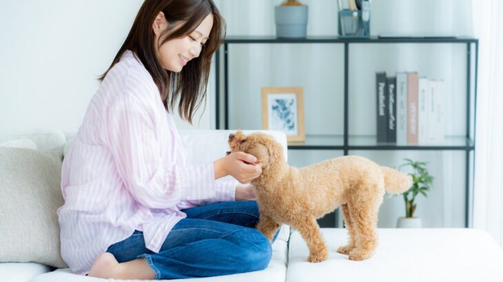 愛犬と『絆を深める』コツ５選　今よりもっと信頼してもらうためにはどうすべき？特に気をつけたい飼い主の行動まで(ブログ)