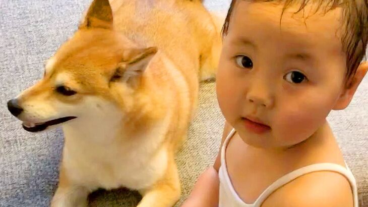 小さい女の子が、犬の誕生日に…お祝いしたくて見せた『愛あふれる行動』に感動の声「なんだか泣ける…」「一緒に成長してきたんだね」と絶賛(ブログ)