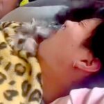 朝まで飲んで帰宅した男性→酔っ払って寝ていたら、犬が…衝撃的な『大暴走』が287万再生「左フックｗｗ」「見れば見るほどジワる」と爆笑(ブログ)