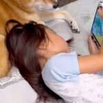 女の子に『ゲーム見てて』とお願いされた犬→『眠たい』と思いながらも…あまりにも尊い光景が28万再生「優しい」「ちゃんとお兄ちゃんしてる」(ブログ)