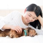 犬が飼い主に『添い寝』する心理4選　一緒に寝たがる理由や寝床を共にする注意点まで(ブログ)