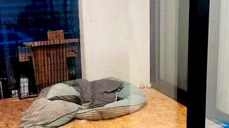 家に帰ったら『中庭にいるはずの大型犬』が行方不明に→リビングに行くと…『想定外の光景』が14万再生「何故ｗｗ」「顔が可愛くて笑う」と反響(ブログ)