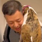 『ゲリラ雷雨』に怯えている犬→パパが帰ってきた途端に…愛おしすぎる『感情が爆発した光景』に反響「救世主だ」「まさにヒーロー」(ブログ)