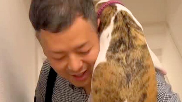 『ゲリラ雷雨』に怯えている犬→パパが帰ってきた途端に…愛おしすぎる『感情が爆発した光景』に反響「救世主だ」「まさにヒーロー」(ブログ)