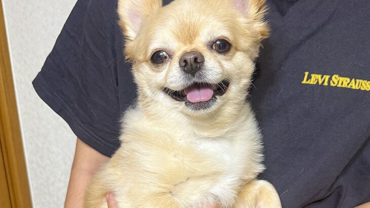 弟に抱っこされると笑顔になる犬→母がやってみると…差がありすぎる『表情の変化』が184万表示「どうしたのｗｗ」「違いすぎて草」と爆笑(ブログ)