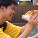 息子から『帰省する』と連絡→4匹の犬に伝えた結果…再会した瞬間『嗚咽をあげながら喜ぶ光景』が101万再生「涙が出てきた…」「天使」と悶絶(ブログ)