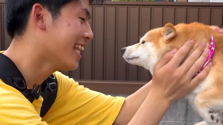 息子から『帰省する』と連絡→4匹の犬に伝えた結果…再会した瞬間『嗚咽をあげながら喜ぶ光景』が101万再生「涙が出てきた…」「天使」と悶絶(ブログ)