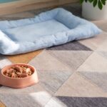 犬の『置き餌』が危険な理由3つ　起こりうる健康トラブルから取り入れたい予防策まで(ブログ)