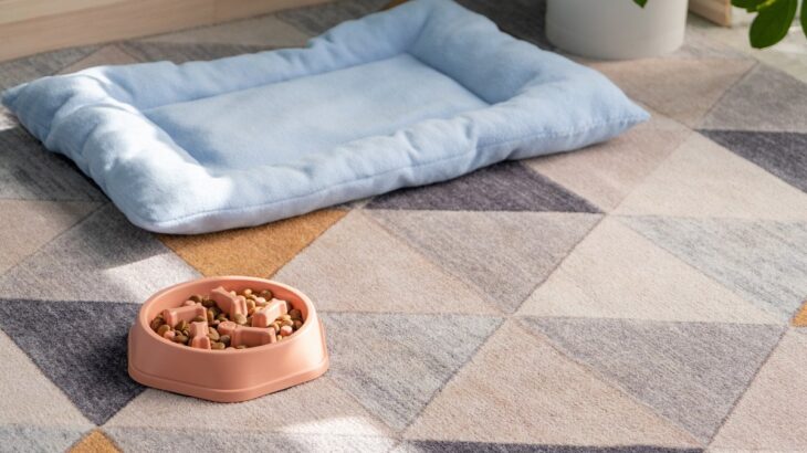 犬の『置き餌』が危険な理由3つ　起こりうる健康トラブルから取り入れたい予防策まで(ブログ)