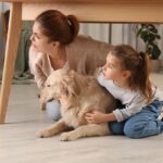 愛犬を守るために知っておくべき『災害時の知識』3選　慌てないための準備から避難生活での心構えまで(ブログ)