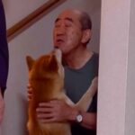 階段でイチャイチャするおじいちゃんと犬…まるで『路地裏のカップル』のような光景が85万再生「完全にふたりの世界ｗ」「大好き伝わる」と絶賛(ブログ)
