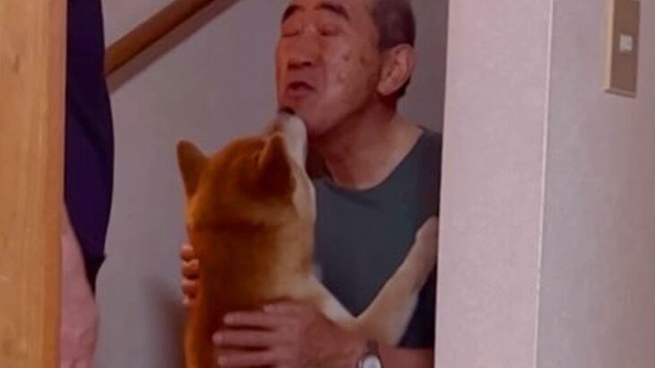 階段でイチャイチャするおじいちゃんと犬…まるで『路地裏のカップル』のような光景が85万再生「完全にふたりの世界ｗ」「大好き伝わる」と絶賛(ブログ)