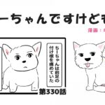 ちーちゃんですけどもっ【第330話】「シニア犬だとすぐ病気を疑うから」(ブログ)