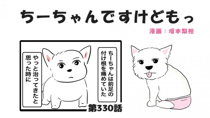 ちーちゃんですけどもっ【第330話】「シニア犬だとすぐ病気を疑うから」(ブログ)