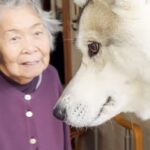 犬が嫌いな『90歳のおばあちゃん』の家に、大型犬を連れて行った結果…予想外すぎた『まさかの反応』が26万再生「ほっこり…」「癒された」(ブログ)