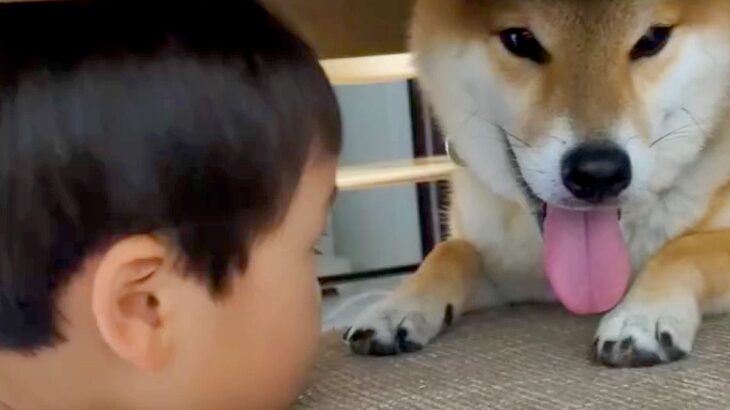 犬が怖くて、指先でしか触れなかった男の子→距離が縮まってきたと思ったら…驚くほどに変化した『現在の光景』に反響「尊い関係」「涙でた」(ブログ)