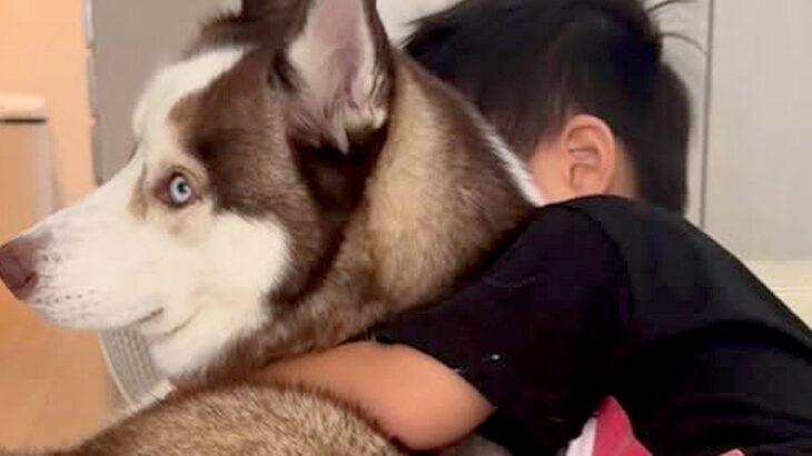 お姉ちゃんとのケンカに負けた男の子→大型犬が涙を舐めて…愛に溢れている『あまりにも尊い光景』に反響「仲良しさんだね」「癒される」(ブログ)