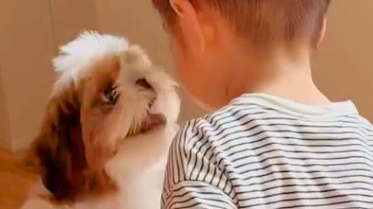 おうちに遊びに来た小さな男の子→赤ちゃん犬が『自分と同じだ』と気付いて…あまりにも尊い光景が23万再生「心が浄化される」「癒された」(ブログ)