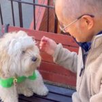 仲良しの近所のおじいさんを待っている犬→スルーされてしまい…許せず想像以上に『ブチギレる様子』が37万再生「孫みたいｗ」「素敵な関係」(ブログ)