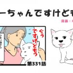 ちーちゃんですけどもっ【第331話】「シニア犬とのお昼寝」(ブログ)