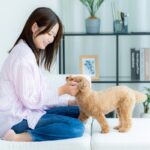 犬にとって絶対NGな『愛情表現』５選　飼い主が避けるべき行動や正しいスキンシップまで(ブログ)