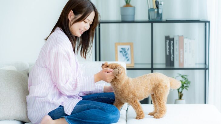 犬にとって絶対NGな『愛情表現』５選　飼い主が避けるべき行動や正しいスキンシップまで(ブログ)