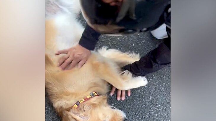 『新聞配達のおじさん』が大好きな大型犬→『今月で辞める』と聞き、寂しがると思ったら…まさかの光景に爆笑「浮気してる場合ちゃうでｗ」(ブログ)