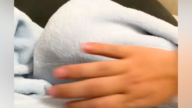 赤ちゃんのおしゃぶりを犬が強奪→毛布の中をめくってみた結果…全く予想できなかった『まさかの光景』が59万再生「想像の数倍可愛いｗ」と絶賛(ブログ)