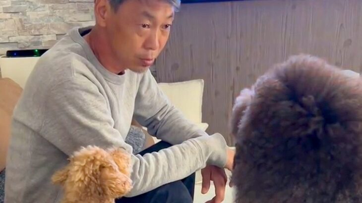 電気工事士の父が、大型犬に『仕事の段取り』を説明した結果…人間にしか見えない『まさかの光景』が158万再生「真面目ｗｗ」「素敵な家族」(ブログ)