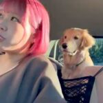 車の運転に慣れていない女性→初めて『ドライブスルー』に挑戦したら、一緒に乗っていた大型犬が…尊い光景が8万再生「シンクロｗ」「表情豊か」(ブログ)