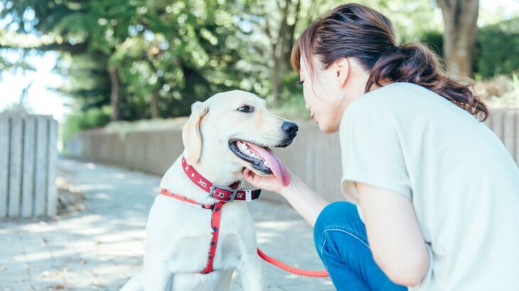 犬が『頼りにならない』と思う飼い主のNG行動５選　信頼を失う接し方や絆を深める方法まで(ブログ)