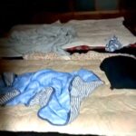 布団で寝ていたはずの犬が行方不明に→家中を探してみたら…まさかの場所で発見される光景が話題に「可愛すぎる」「何故そんな所を選んだｗ」(ブログ)