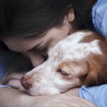 愛犬との最期の過ごし方｜どんな心構えで過ごし、どんなことを準備しておくか？現役獣医がアドバイス(ブログ)