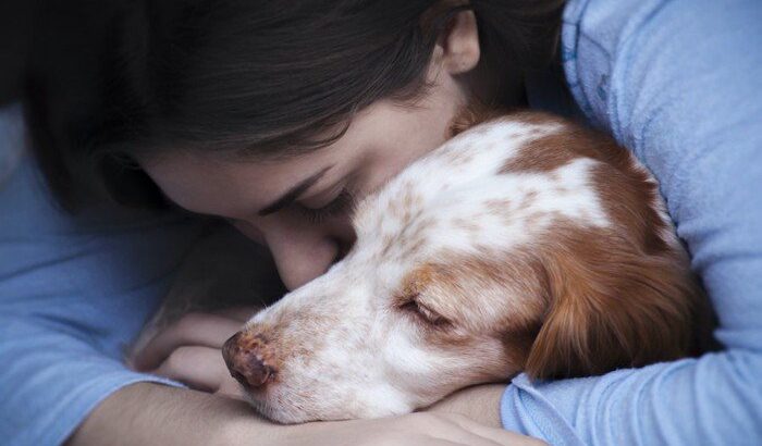 愛犬との最期の過ごし方｜どんな心構えで過ごし、どんなことを準備しておくか？現役獣医がアドバイス(ブログ)