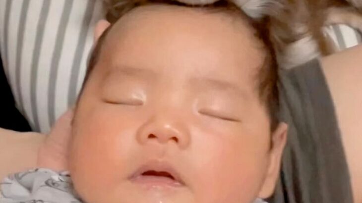 赤ちゃんが『人見知りの犬』と初対面→『吠えたりしないかな』と心配していたら…予想をはるかに超えた『まさかの光景』に反響「なんだか似てる」(ブログ)