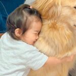 遊びに来たおばあちゃん→帰り際『バイバイ』と言ったら、1歳の女の子が大型犬に…勘違いした『まさかの行動』に反響「幸せすぎ」「相思相愛」(ブログ)